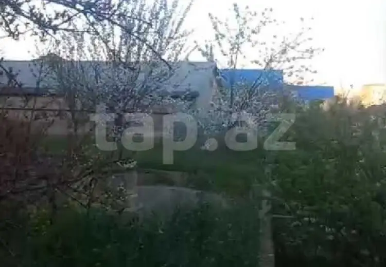 0 m² Obyekt / Ofis , Bakı