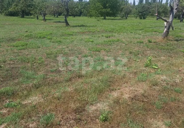 0 m² Obyekt / Ofis , İsmayıllı