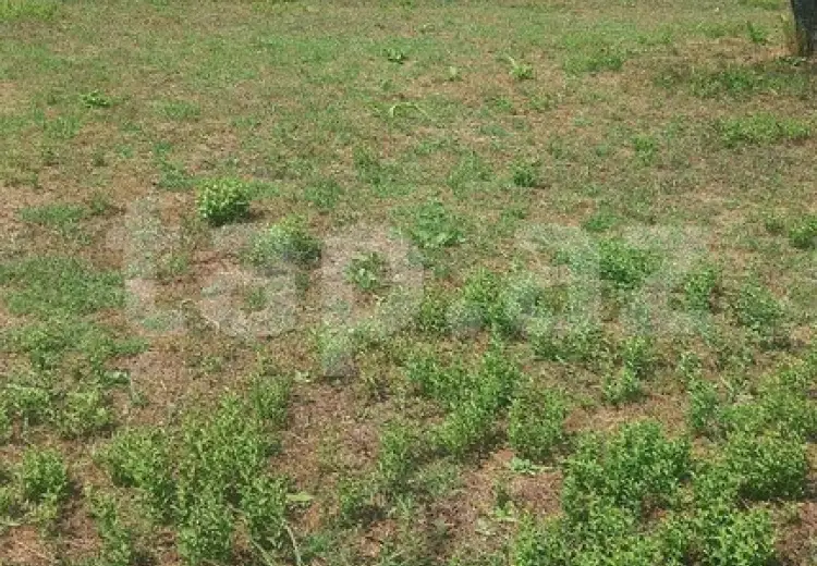 0 m² Obyekt / Ofis , İsmayıllı