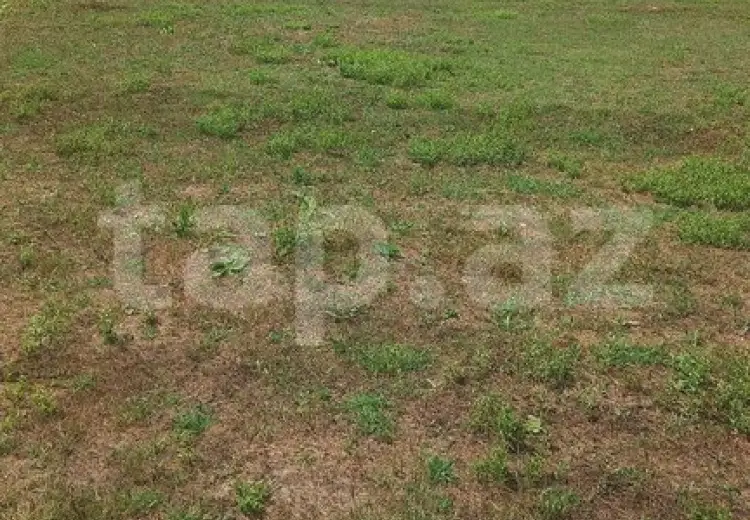 0 m² Obyekt / Ofis , İsmayıllı