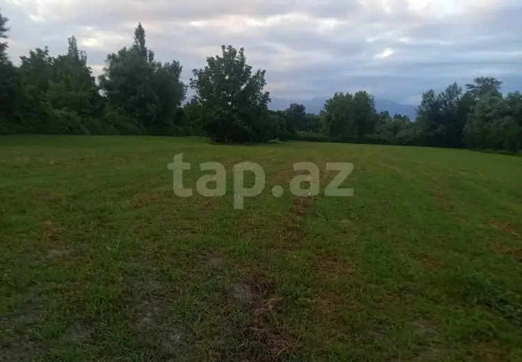 0 m² Obyekt / Ofis , Oğuz