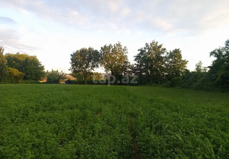 0 m² Obyekt / Ofis , Oğuz