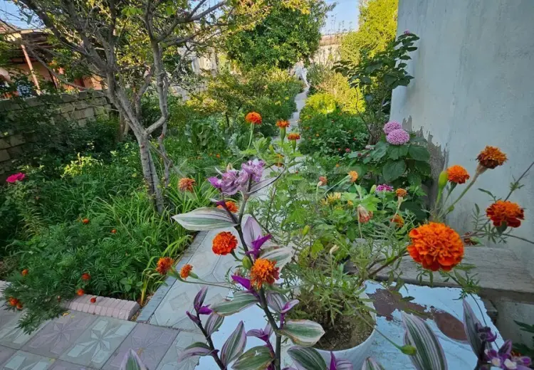 3 otaqlı mənzil , Sumqayıt