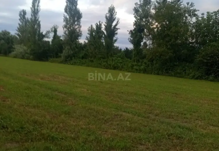 110 sot Torpaq Satılır, Oğuz