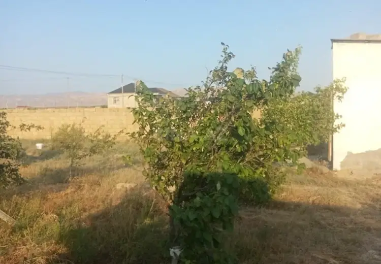 6 sot Torpaq Satılır, Sumqayıt
