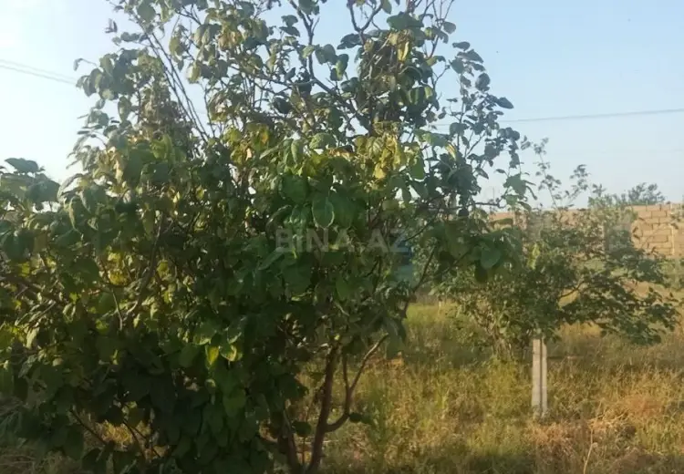 6 sot Torpaq Satılır, Sumqayıt
