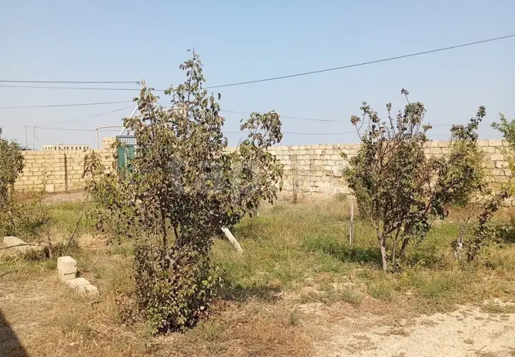 0 m² Obyekt / Ofis , Sumqayıt