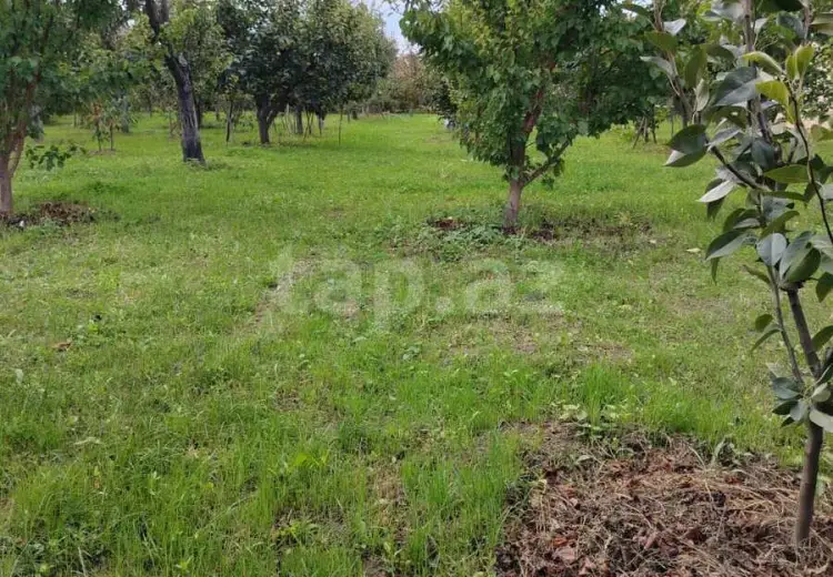 7 otaqlı mənzil , Xaçmaz