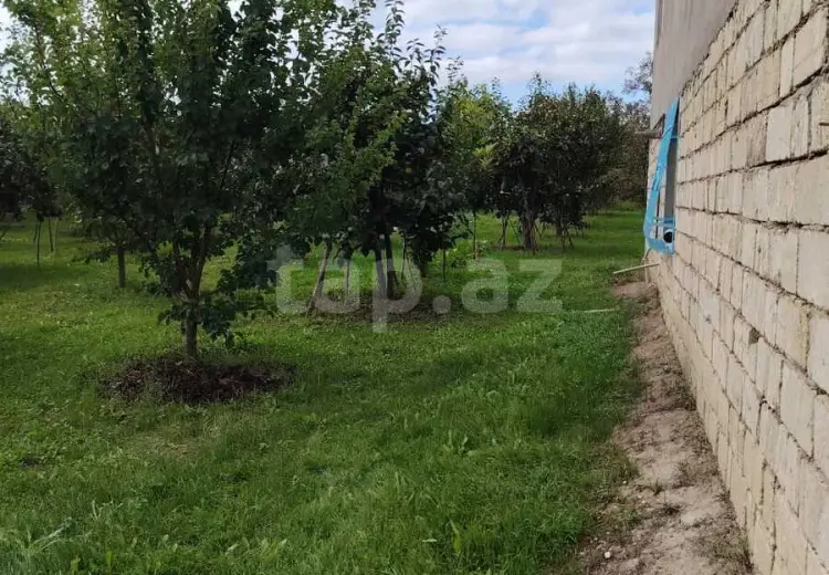 7 otaqlı mənzil , Xaçmaz