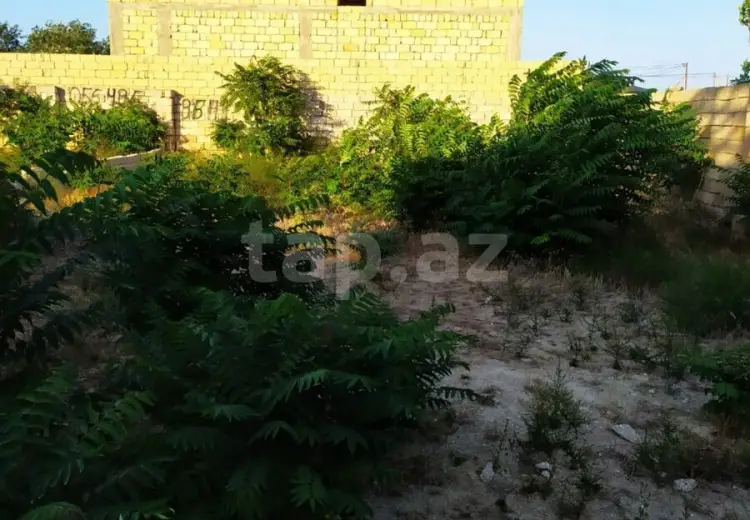 0 m² Obyekt / Ofis , Nardaran qəs., Sabunçu, Bakı