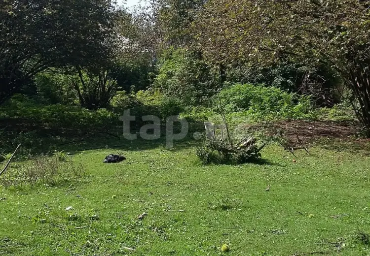 0 m² Obyekt / Ofis , Qəbələ