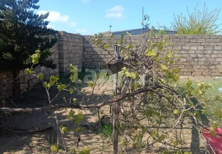 0 m² Obyekt / Ofis , Məştağa qəs., Sabunçu, Bakı