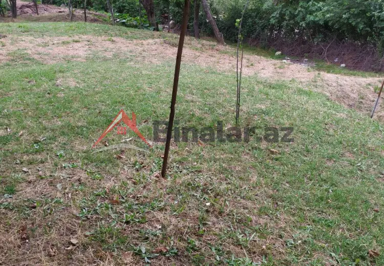10 sot Torpaq Satılır, Masallı