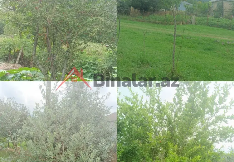 10 sot Torpaq Satılır, Masallı