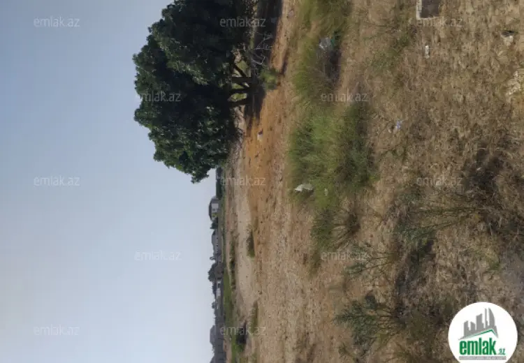 60 sot Torpaq Satılır, Türkan, Xəzər, Bakı