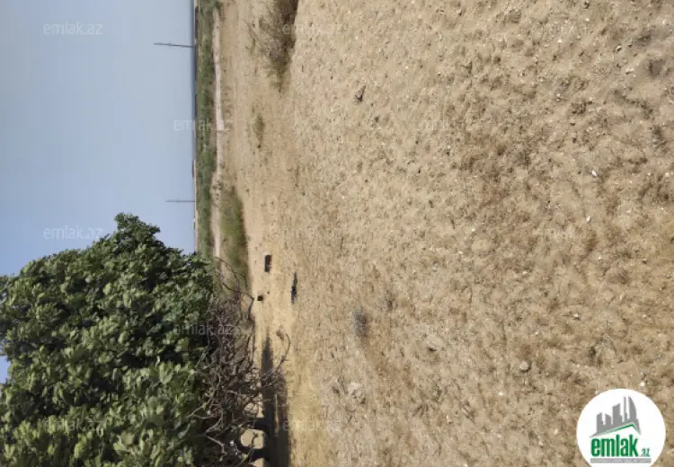 60 sot Torpaq Satılır, Türkan, Xəzər, Bakı