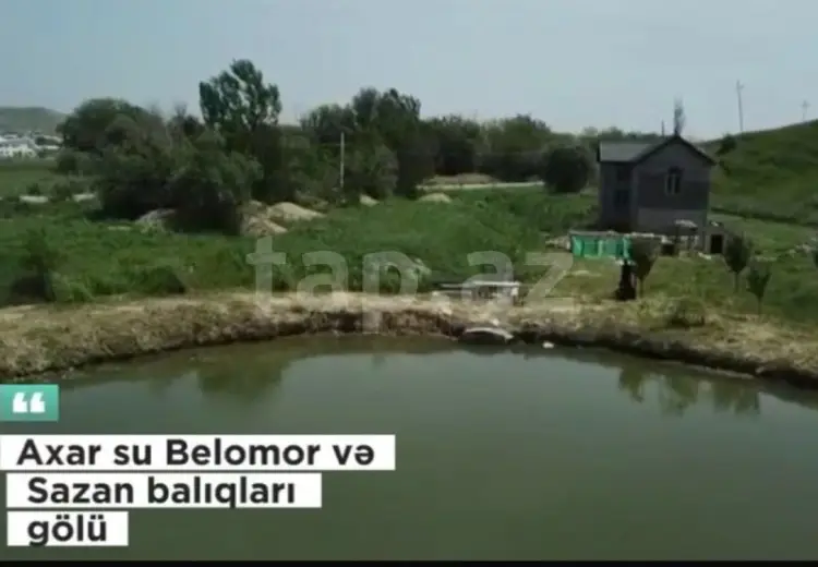 4 otaqlı mənzil , Şamaxı