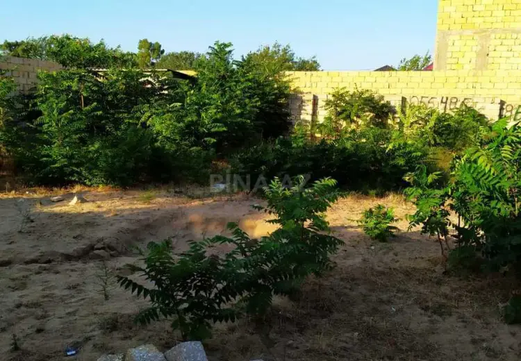 5 sot Torpaq Satılır, Nardaran qəs., Sabunçu, Bakı