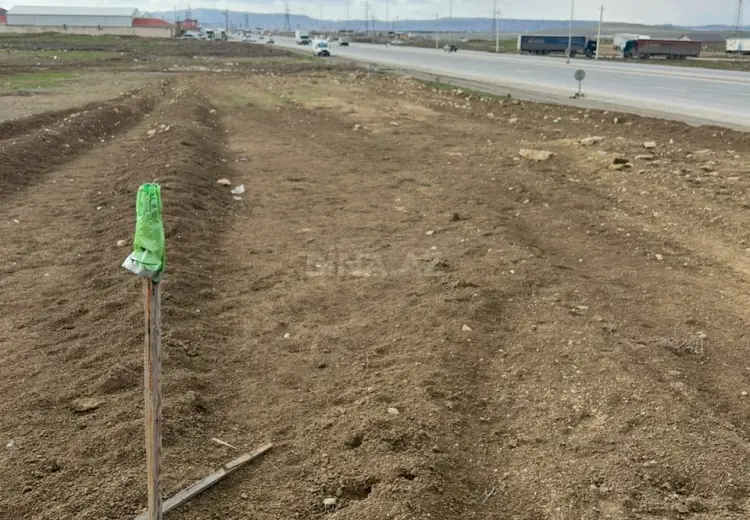 6.5 sot Torpaq Satılır, Saray, Abşeron