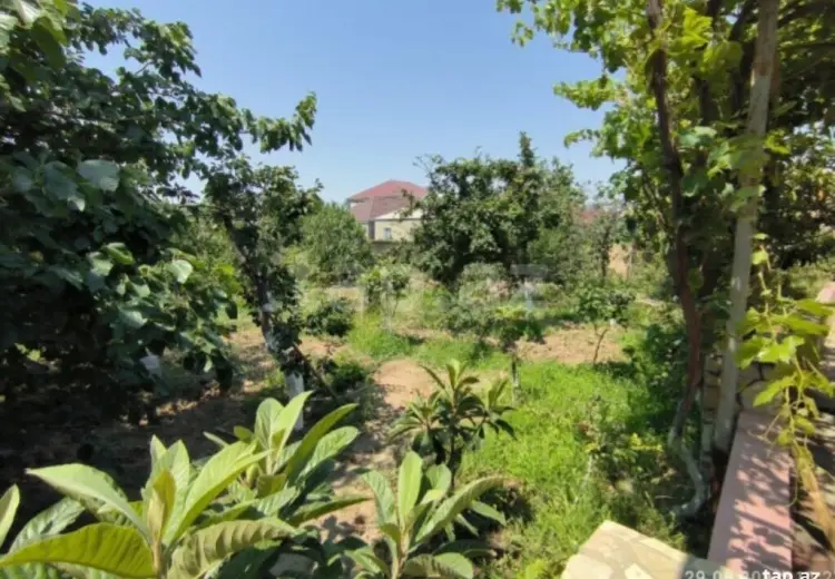 5 otaqlı mənzil , Saray, Abşeron