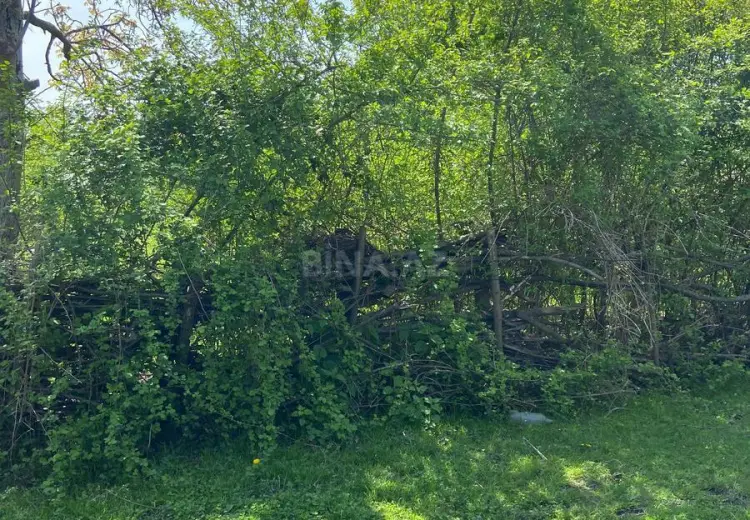 15 sot Torpaq Satılır, Zaqatala