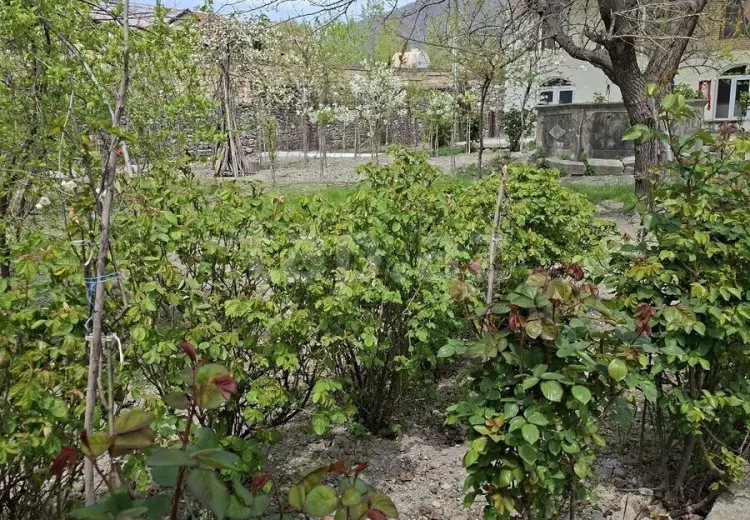 4 otaqlı mənzil , Şəki