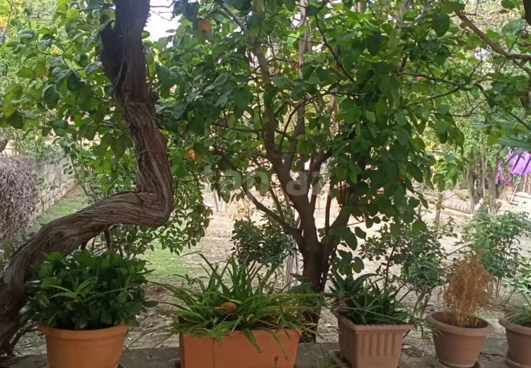 7 otaqlı mənzil , Badamdar qəs., Səbail, Bakı