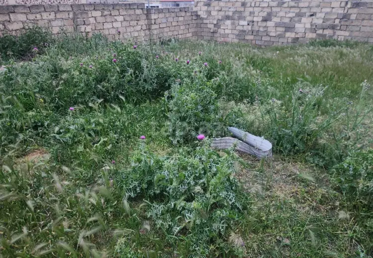 0 m² Obyekt / Ofis , Novxanı, Abşeron