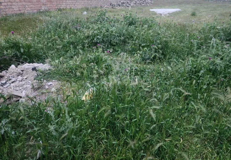 0 m² Obyekt / Ofis , Novxanı, Abşeron