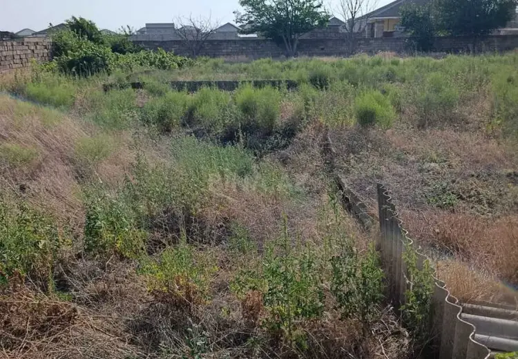 19.5 sot Torpaq Satılır, Bilgəh qəs., Sabunçu, Bakı