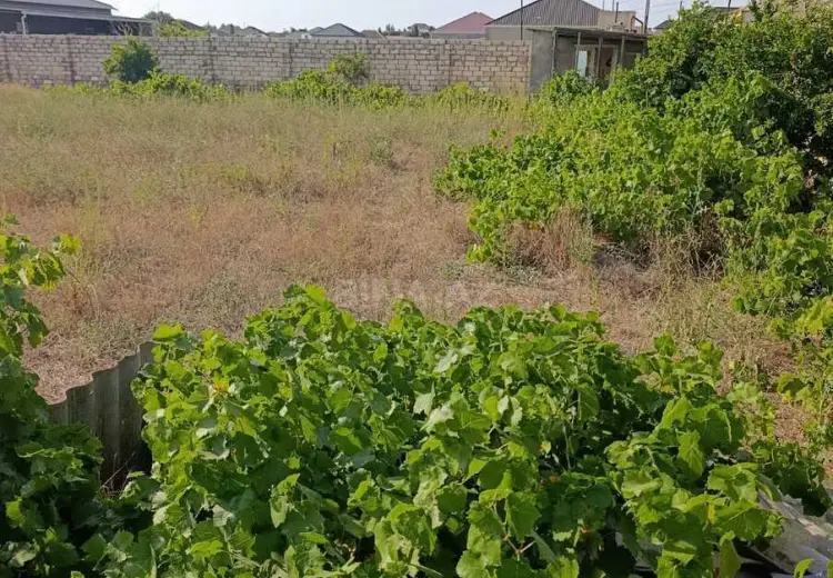 19.5 sot Torpaq Satılır, Bilgəh qəs., Sabunçu, Bakı