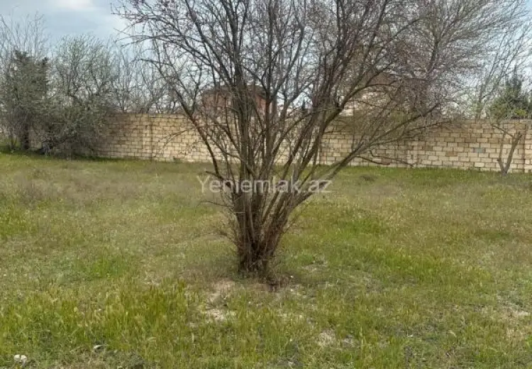 12 sot Torpaq Satılır, Qurd dərəsi, Sumqayıt
