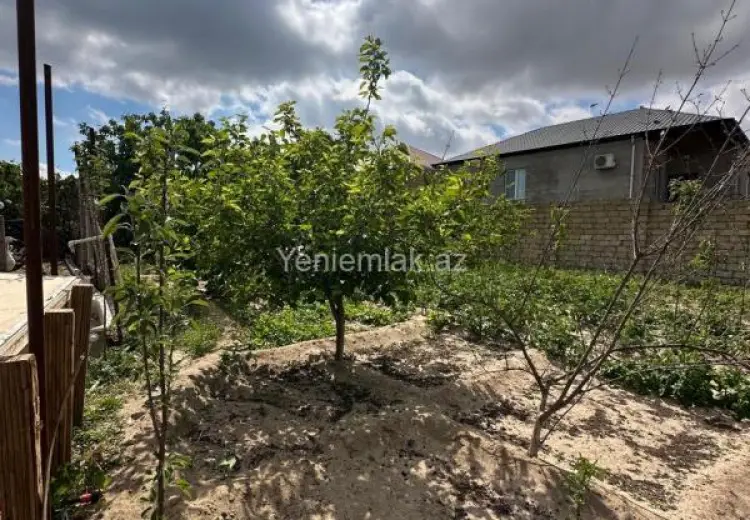 7.8 sot Torpaq Satılır, Qurd dərəsi, Sumqayıt