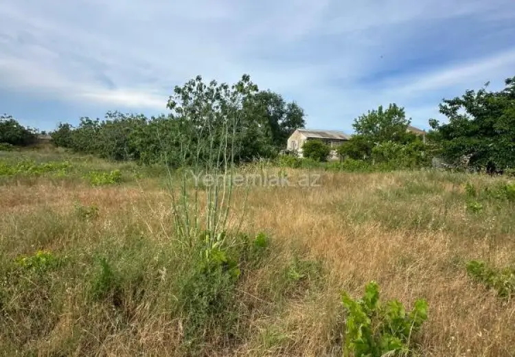 12 sot Torpaq Satılır, Qurd dərəsi, Sumqayıt