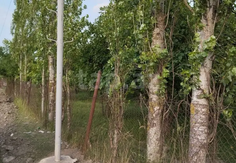 0 m² Obyekt / Ofis , Quba