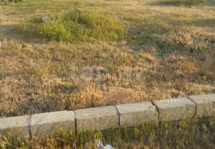 0 m² Obyekt / Ofis , Bakı