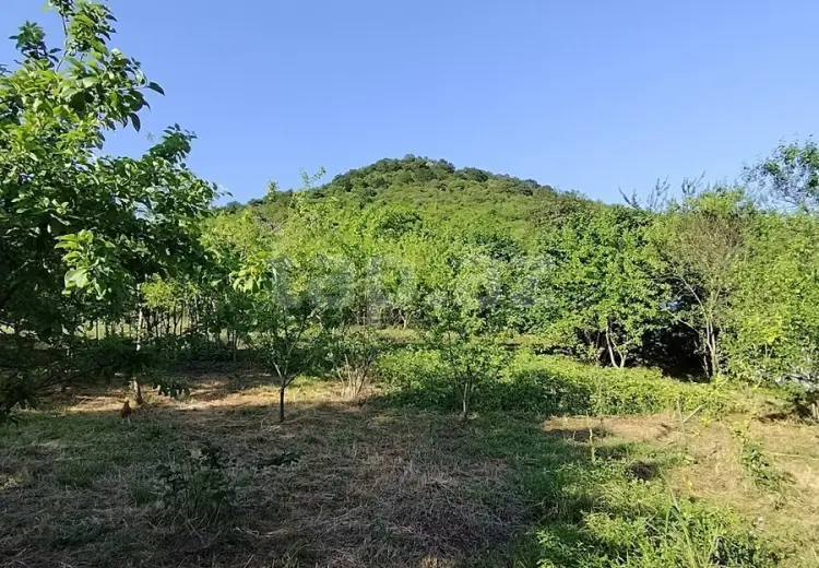 0 m² Obyekt / Ofis , Qəbələ