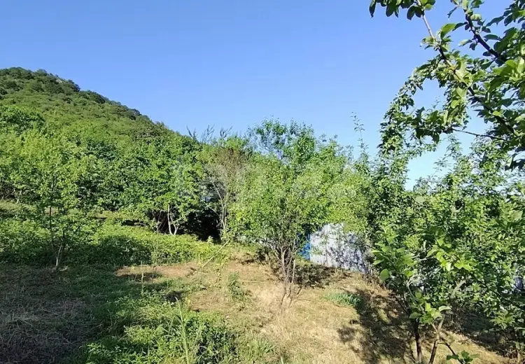 0 m² Obyekt / Ofis , Qəbələ