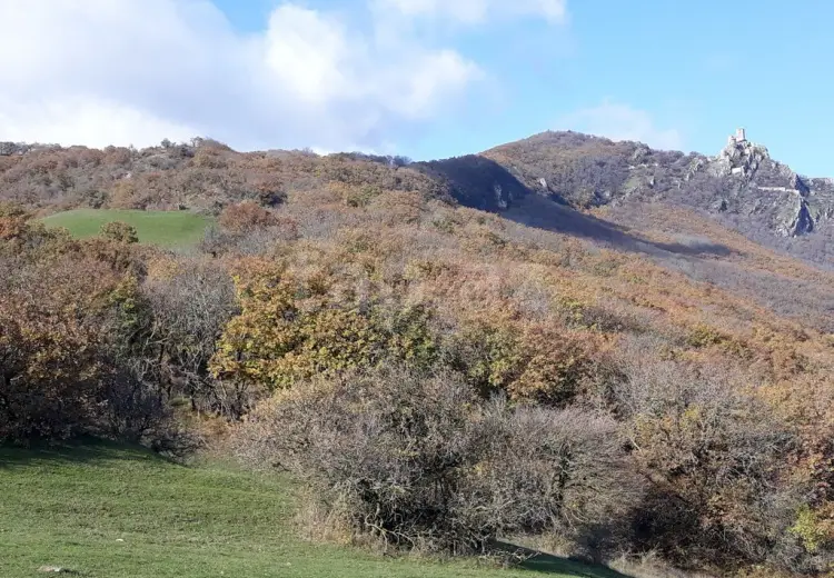 0 m² Obyekt / Ofis , Şabran