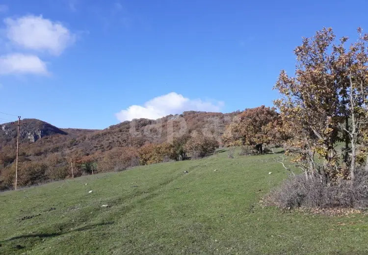 0 m² Obyekt / Ofis , Şabran
