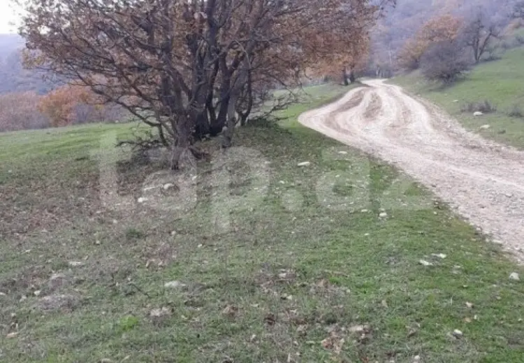 0 m² Obyekt / Ofis , Şabran