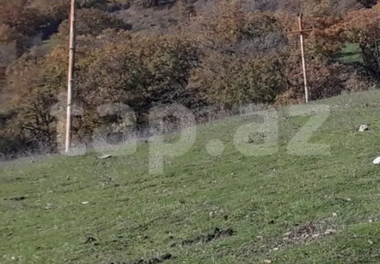 0 m² Obyekt / Ofis , Şabran