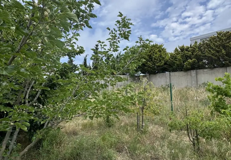 4 sot Torpaq Satılır, Goradil, Abşeron