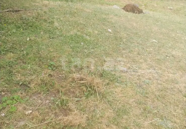 0 m² Obyekt / Ofis , Qəbələ