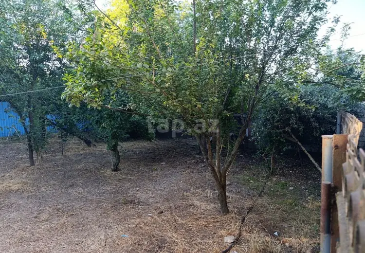 6 otaqlı mənzil , Lənkəran