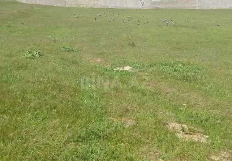 105 sot Torpaq Satılır, Ramana qəs., Sabunçu, Bakı