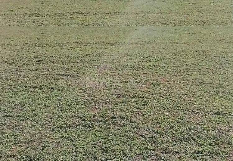344 sot Torpaq Satılır, Şamaxı