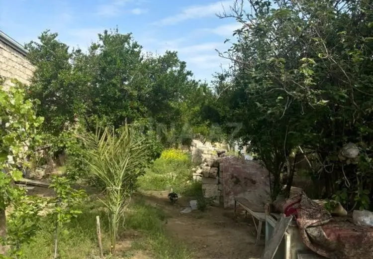 600 sot Torpaq Satılır, Bakıxanov qəs., Sabunçu, Bakı