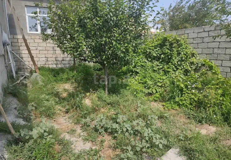 0 m² Obyekt / Ofis , Qobu, Abşeron