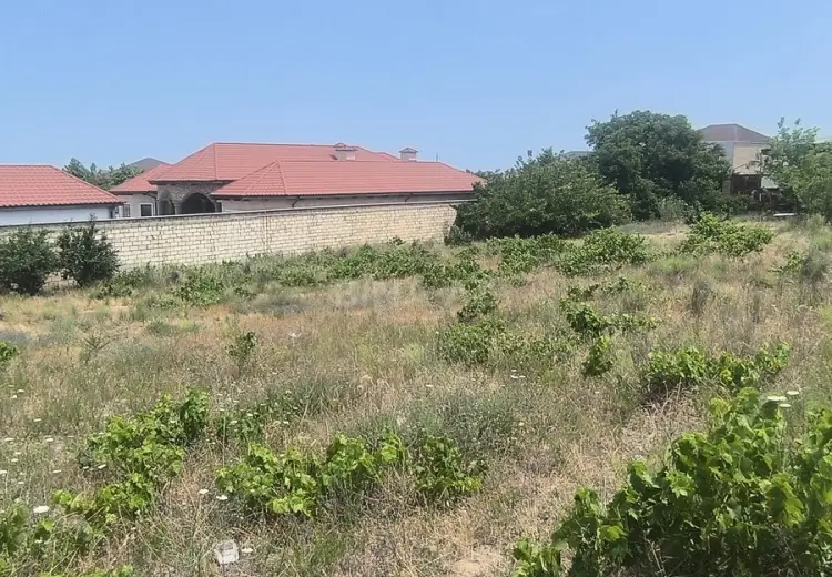 24 sot Torpaq Satılır, Novxanı, Abşeron
